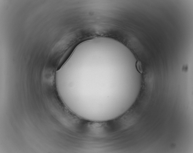 X0000112030129200908241547