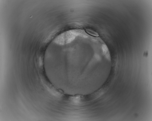 X0000112030131200908241547