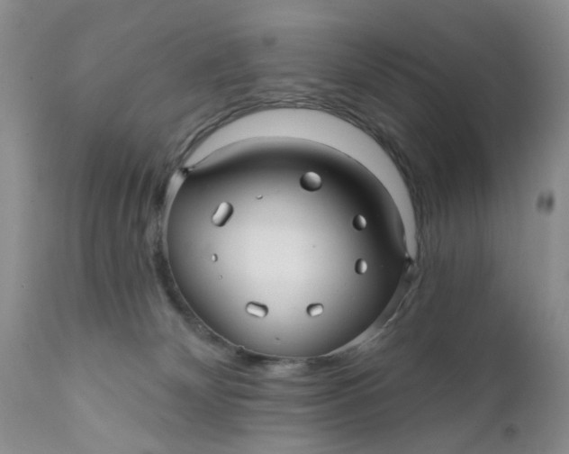 X0000112030132200908241547