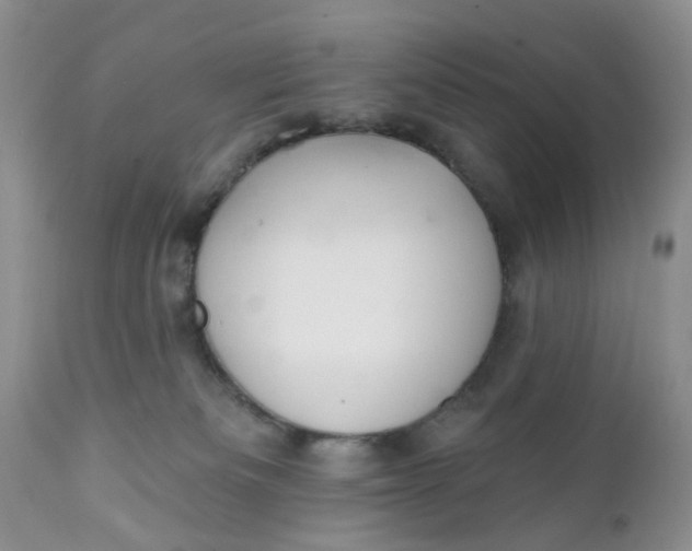 X0000112030133200908241547