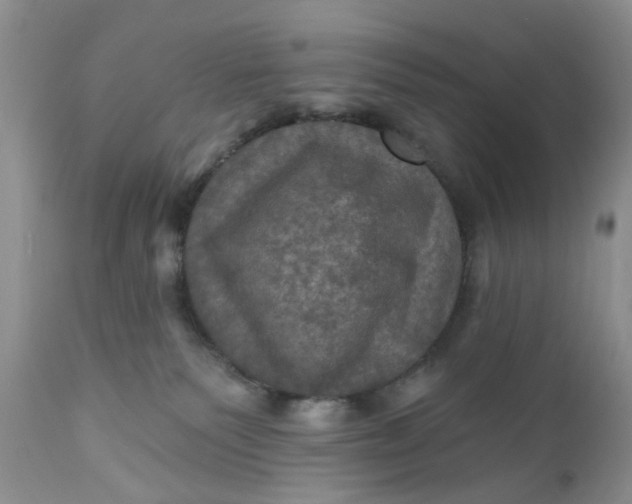 X0000112030135200908241547