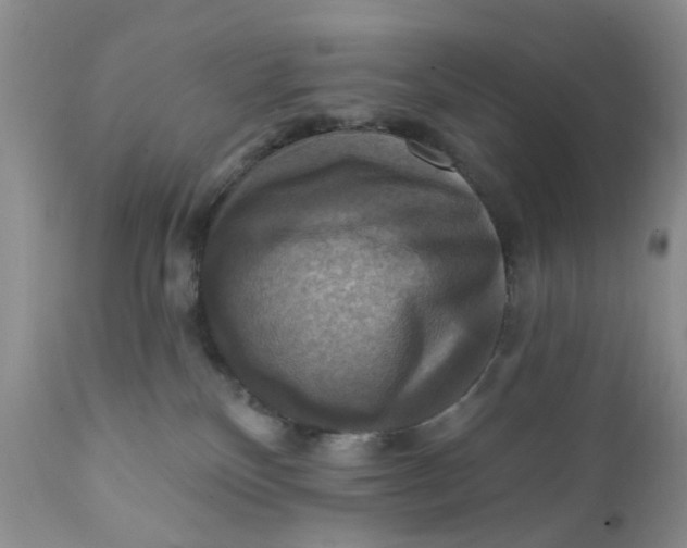 X0000112030136200908241547