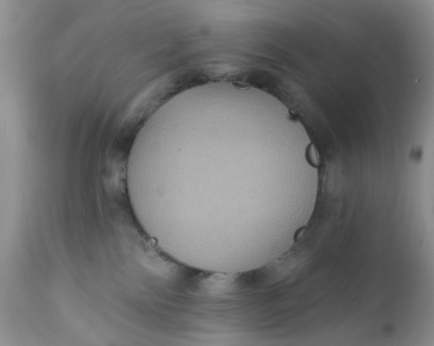 X0000112030138200908241547