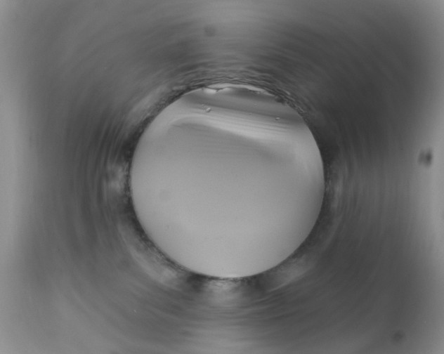 X0000112030139200908241547
