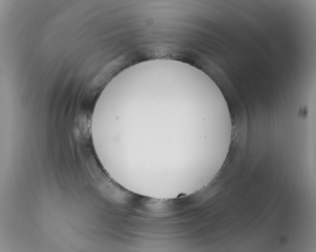 X0000112030142200908241547