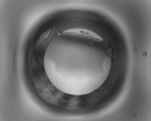 X0000112030143200908241547
