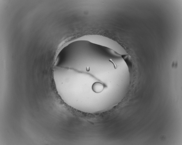 X0000112030144200908241547