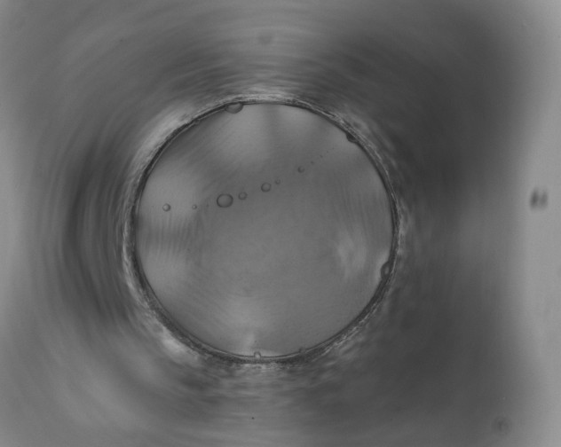 X0000112030145200908241546
