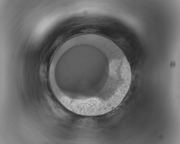X0000112030146200908241546