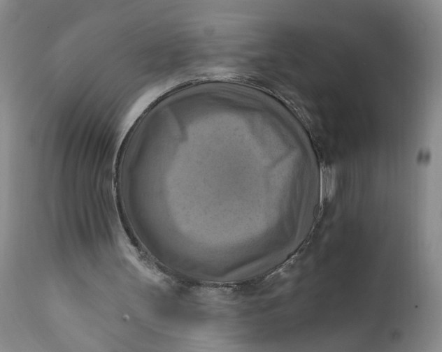 X0000112030147200908241546