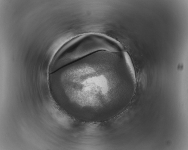 X0000112030148200908241546
