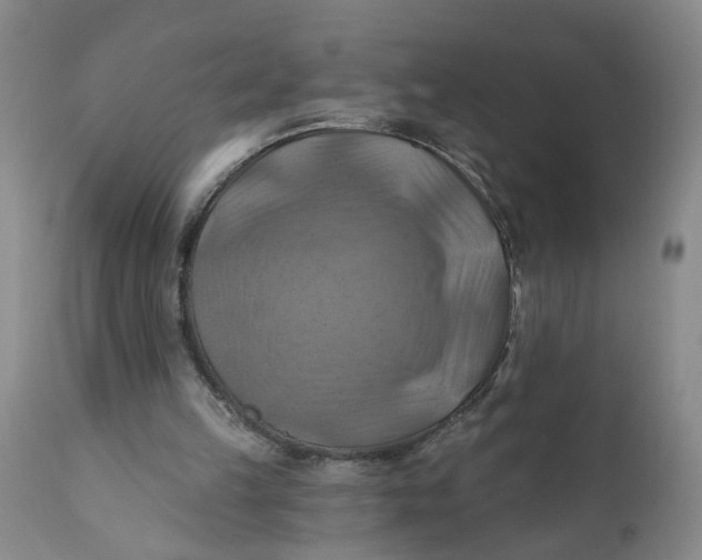 X0000112030149200908241546