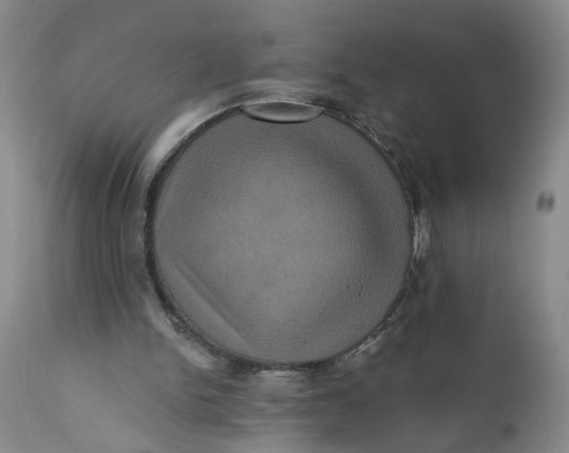 X0000112030150200908241546