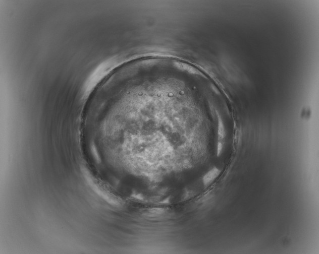 X0000112030151200908241546