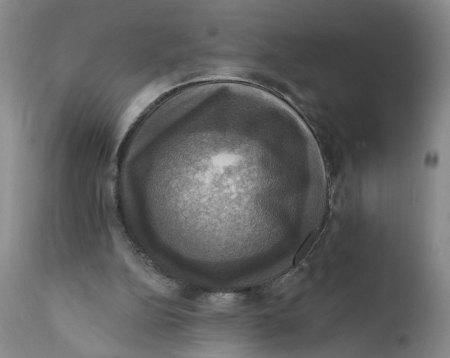 X0000112030152200908241546