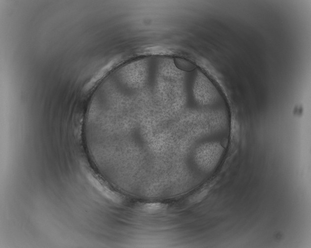 X0000112030153200908241546