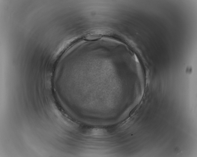 X0000112030154200908241546