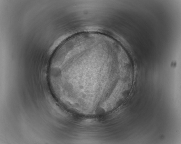 X0000112030155200908241546