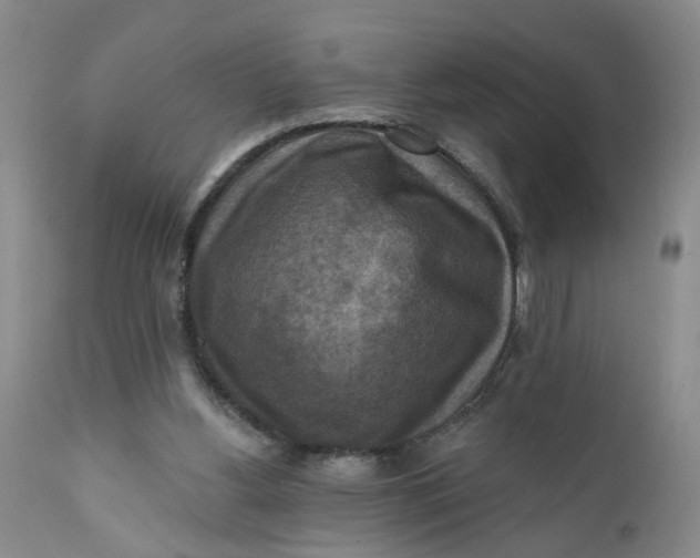 X0000112030156200908241546