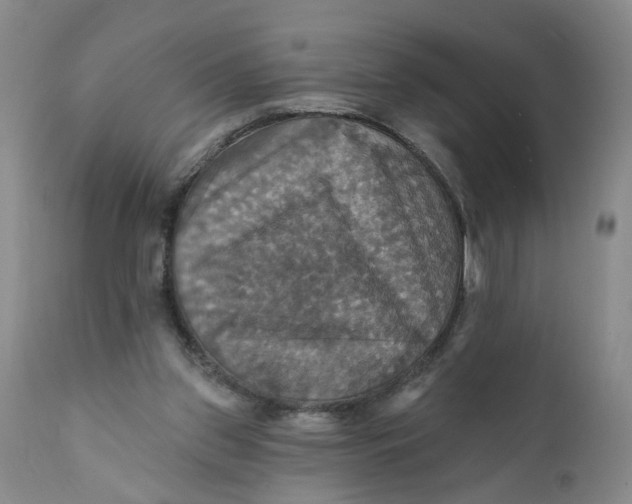 X0000112030157200908241546