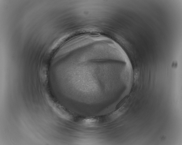 X0000112030158200908241546