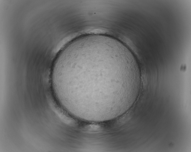 X0000112030159200908241546