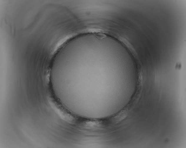 X0000112030160200908241546