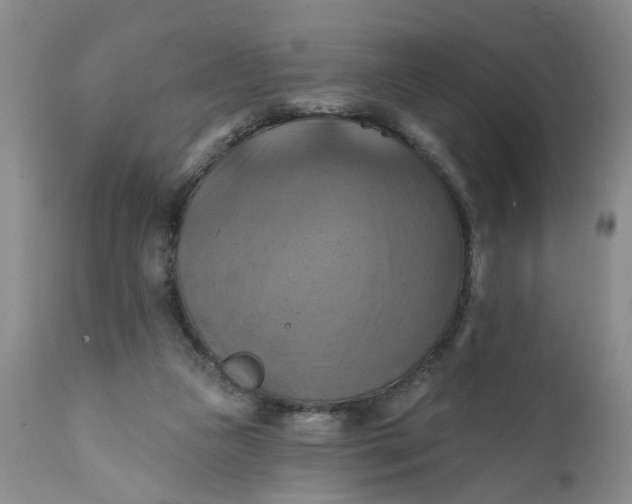 X0000112030161200908241546