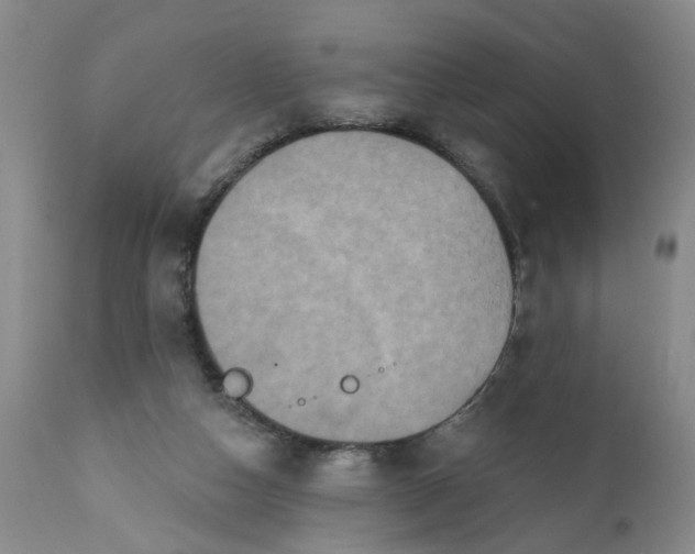 X0000112030162200908241546
