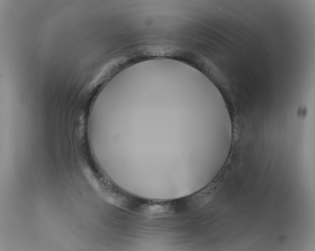 X0000112030163200908241546
