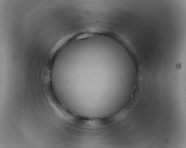 X0000112030164200908241546