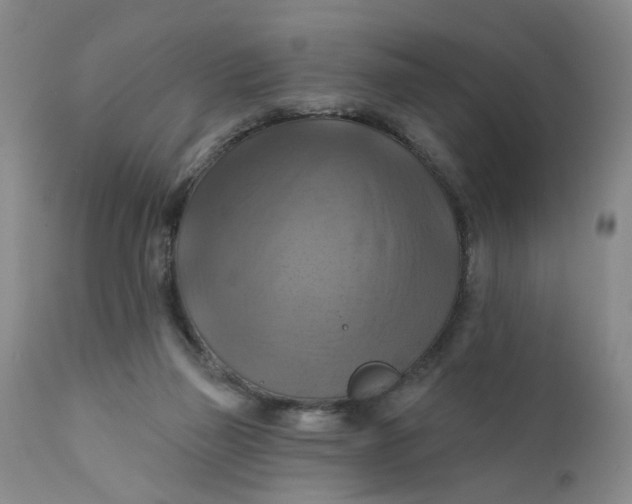 X0000112030165200908241546
