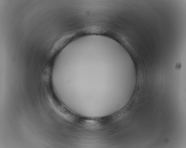 X0000112030167200908241547