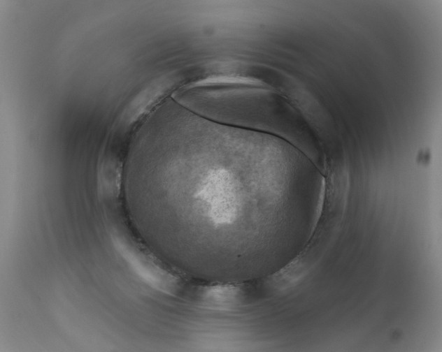 X0000112030168200908241547