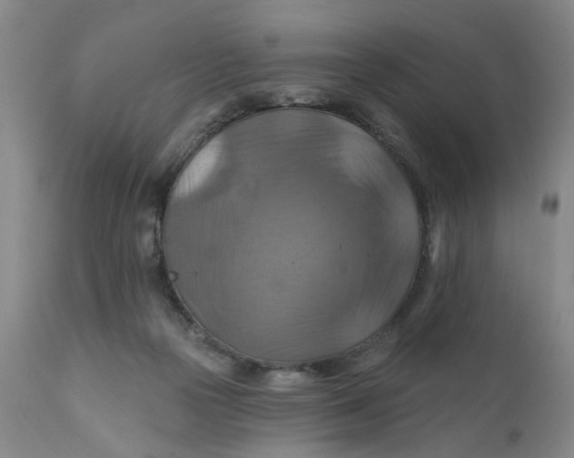X0000112030169200908241547