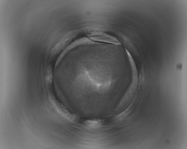 X0000112030170200908241547