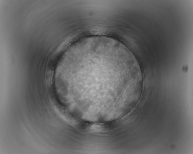 X0000112030171200908241547