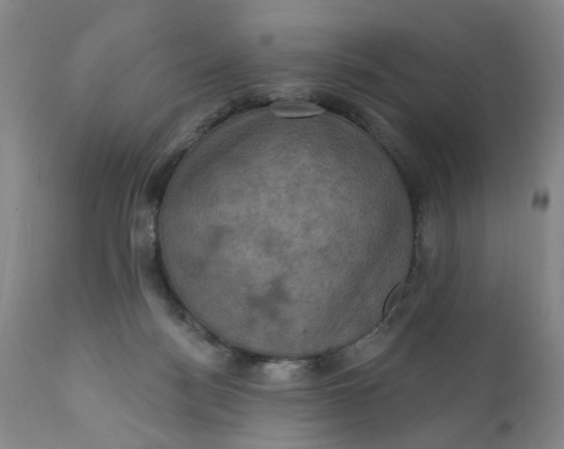 X0000112030172200908241547