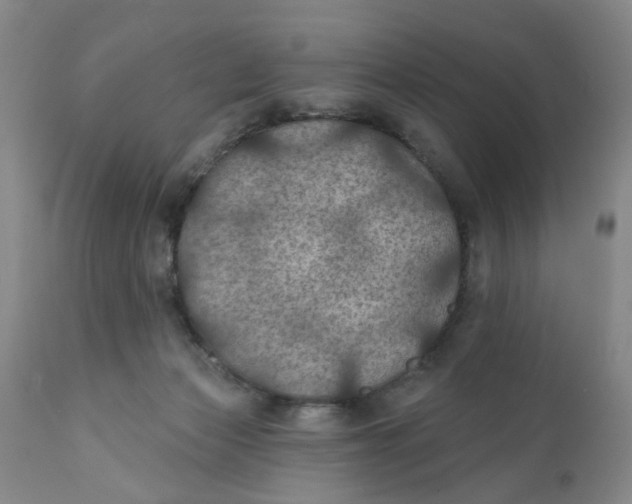 X0000112030173200908241547
