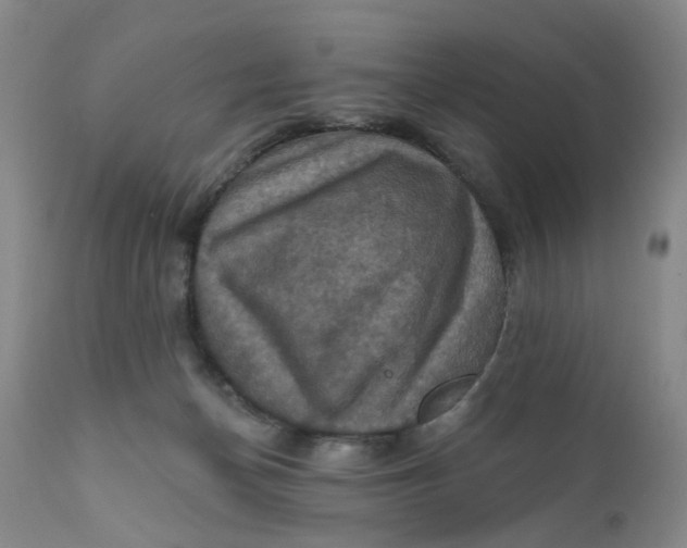 X0000112030174200908241547