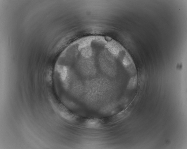 X0000112030175200908241547