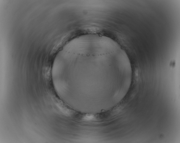 X0000112030177200908241547