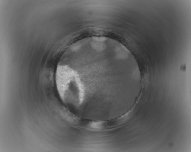 X0000112030178200908241547