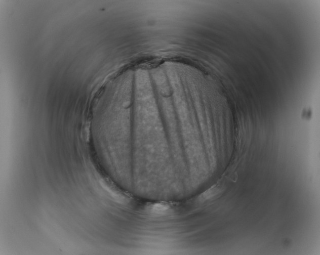 X0000112030180200908241547