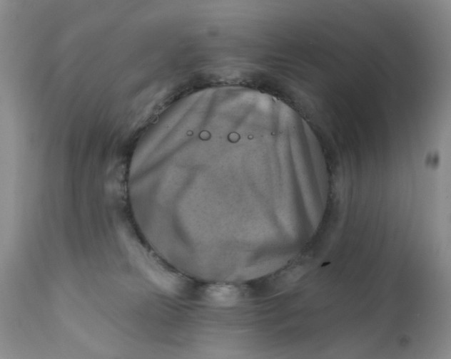 X0000112030181200908241547