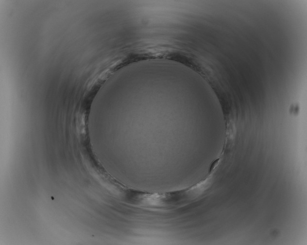X0000112030182200908241547