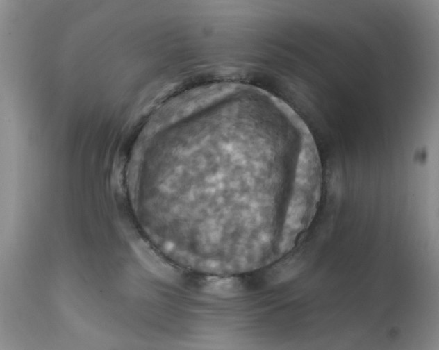 X0000112030185200908241547