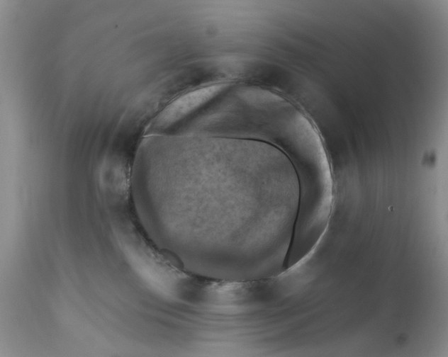 X0000112030186200908241547