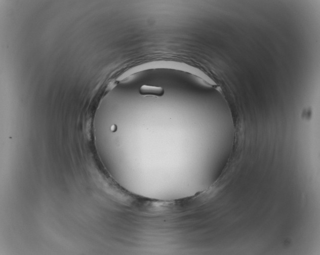 X0000112030188200908241547
