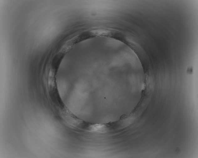 X0000112030189200908241547